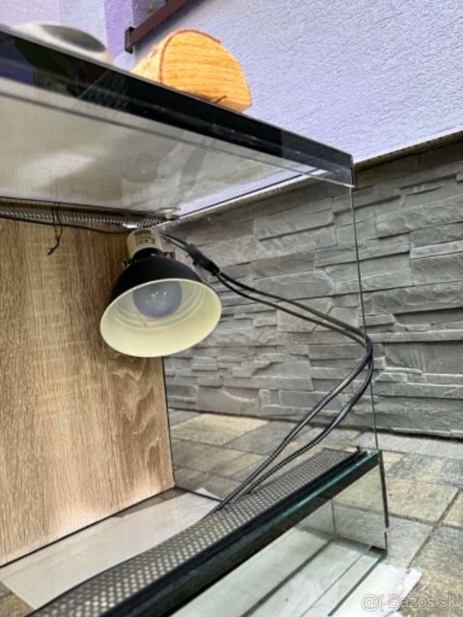 TERARIUM - 4