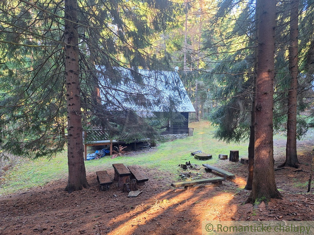 Chata v Studenej doline na vlastnom pozemku s vodou a elek - 4