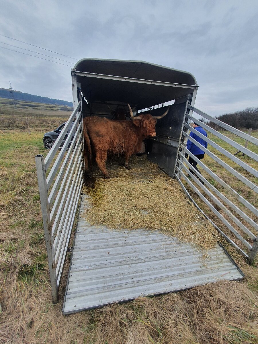 Preprava zvierat - 4