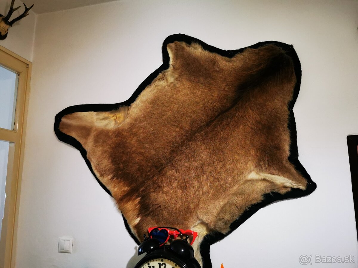 Srnec a ine troeje - 4