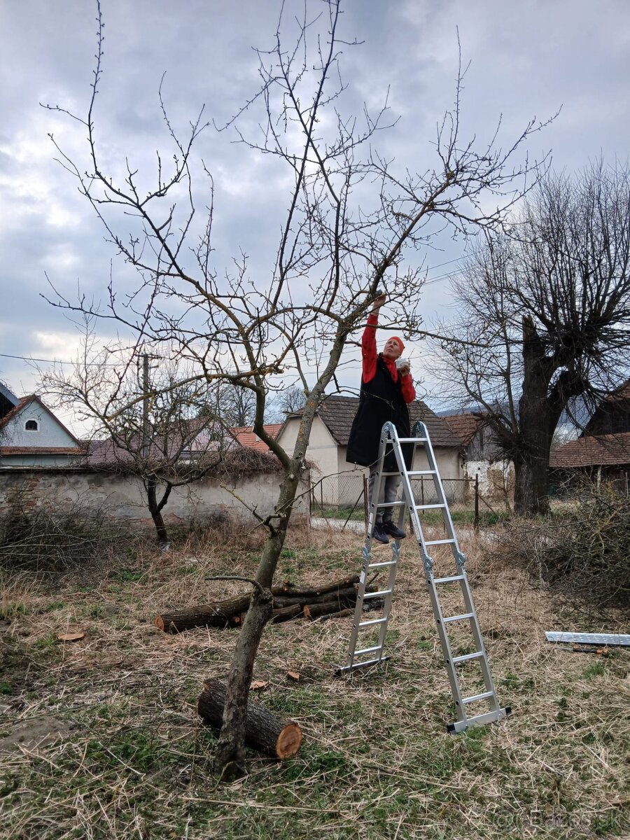 Orezavanie, pilenie a strihanie stromov, drevín - 4