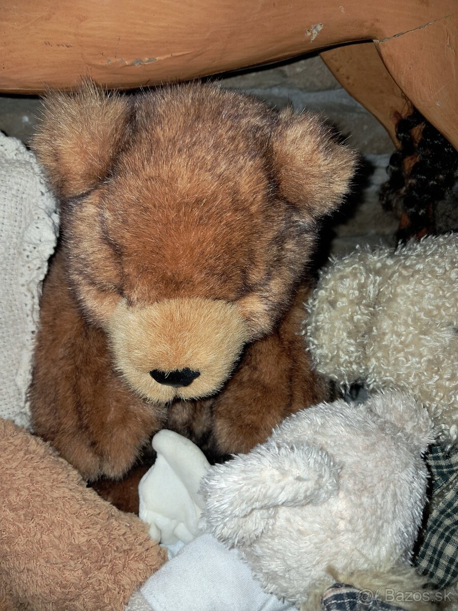 Mackovia a koníky - 4