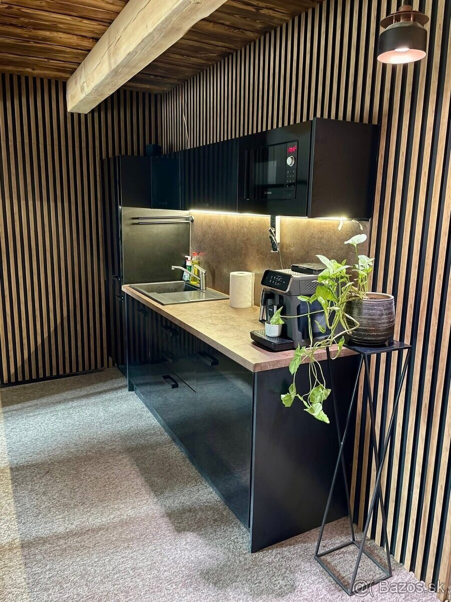 Reprezentatívny priestor 20m² Partizánske - 4