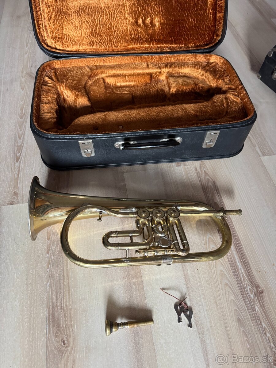 Krídlovka značka Lidl Brno - 4