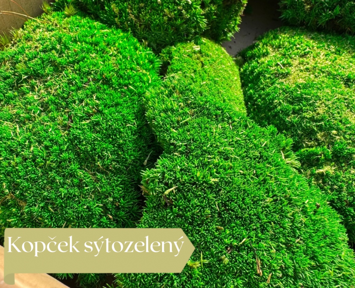 Stabilizovaný mach - 4