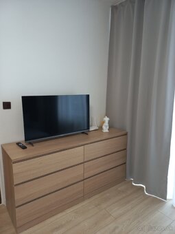 Na prenájom 1 izbový byt pri auparku - Voľný ihned - 4