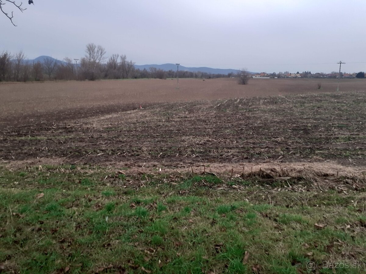 Stavebný pozemok v Hrušovanoch /TO za dobrú cenu - 4