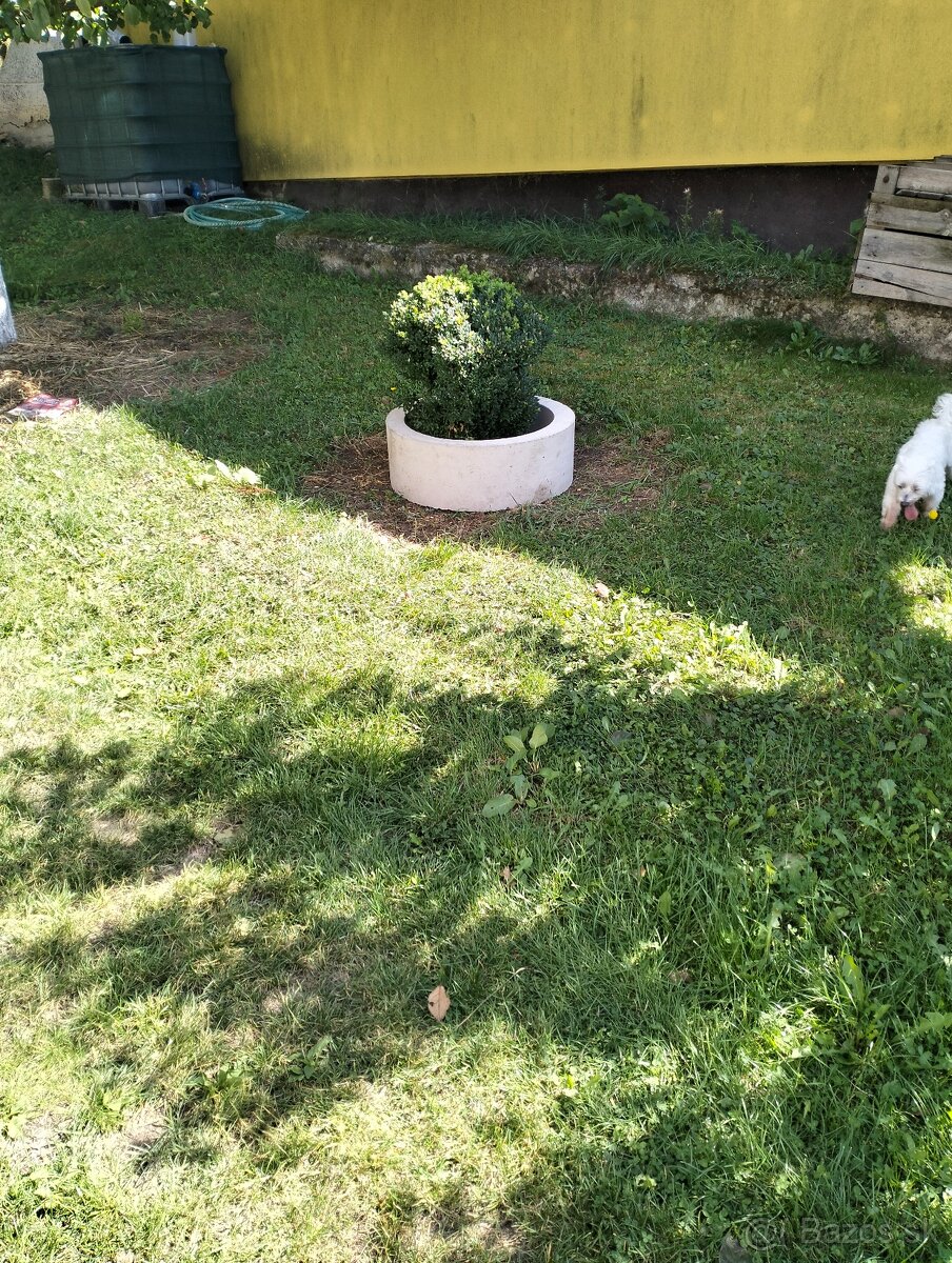 Kopanie,čistenie studni,studna,studne - 4