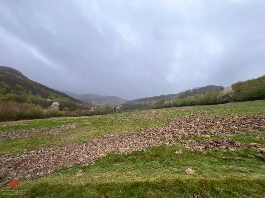 Ponúkam 11ha uceleného lesného pozemku s lúkami - 4