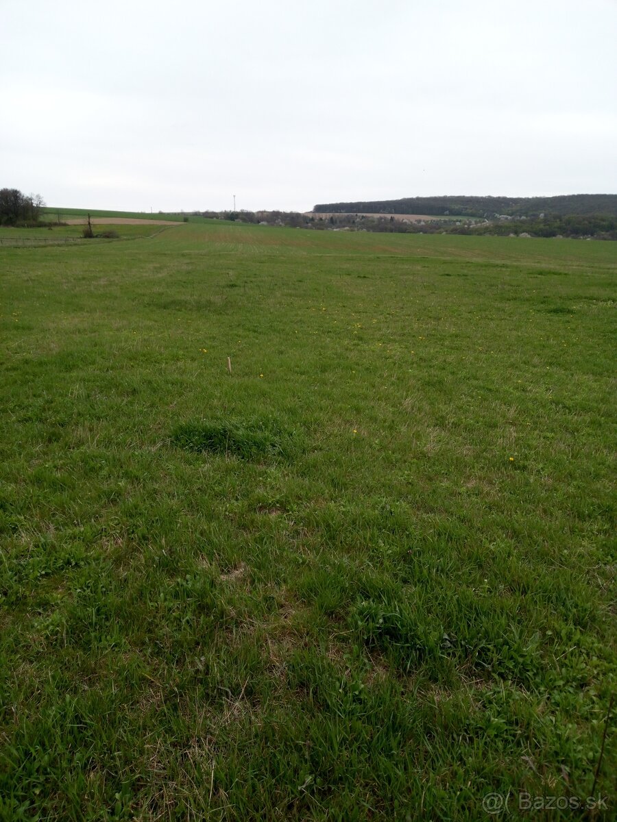 Podkylava, Krajné,Myjava, Kopanice. - 4