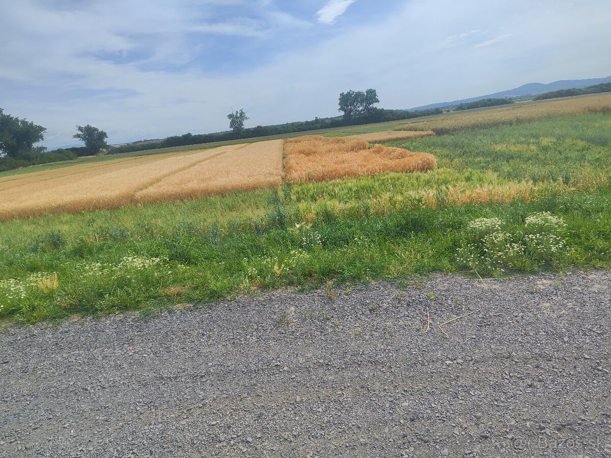 Zaujímavá investičná príležitosť - 4