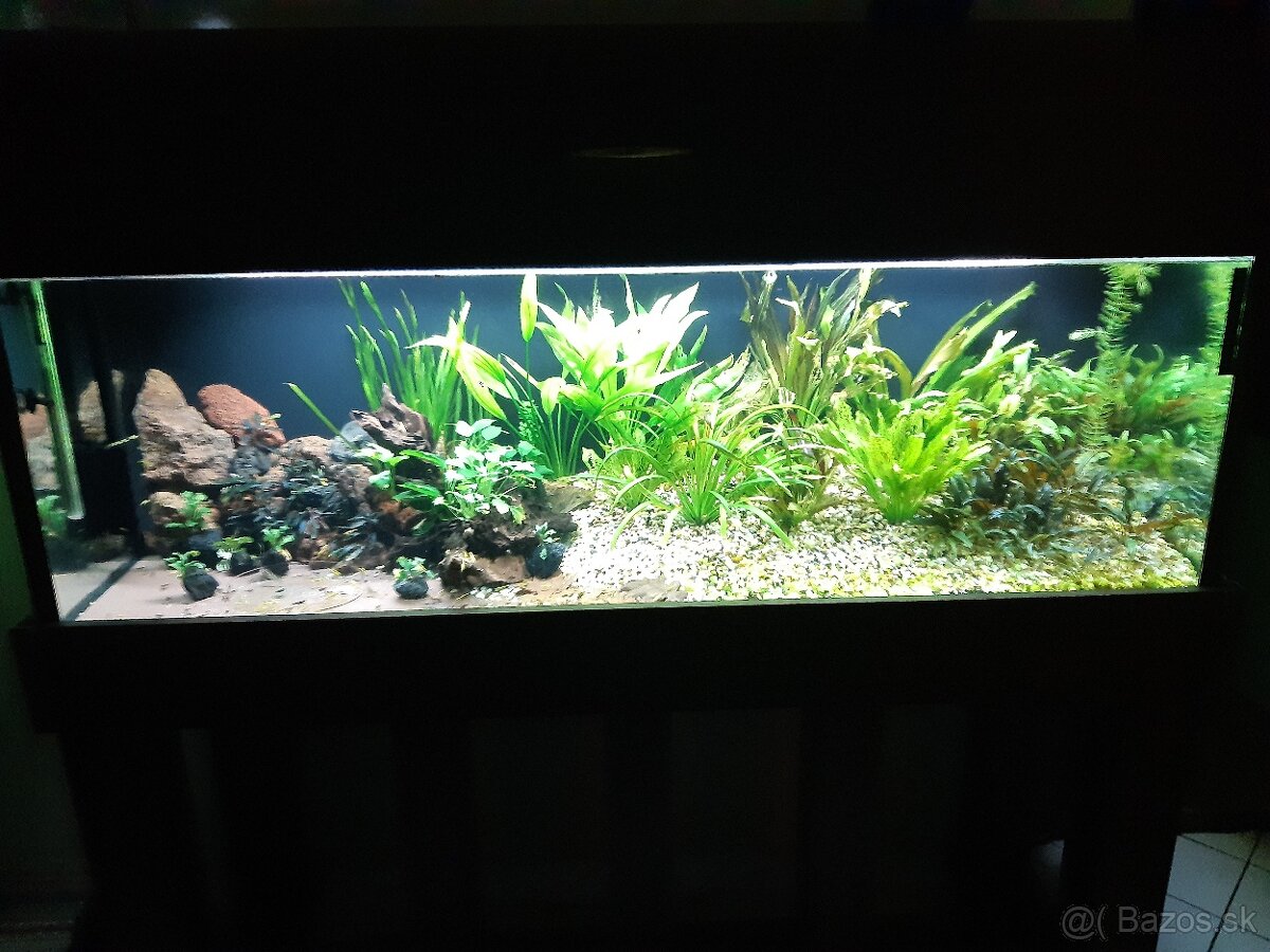 Akvarium - 4