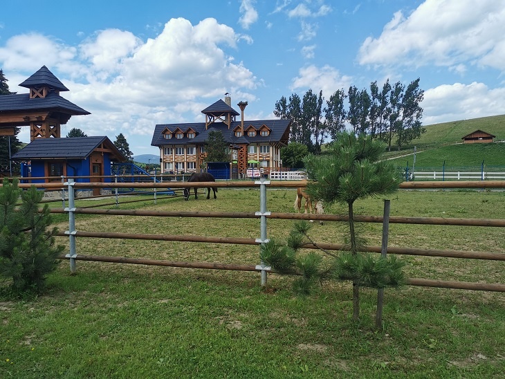 frézovaná guľatina, drevené koly, hranoly - 4