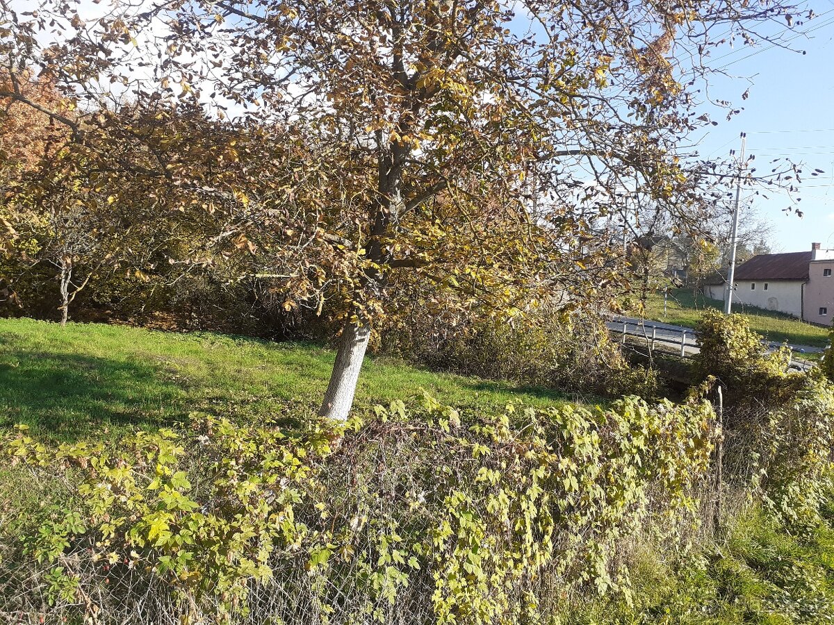 Predam stavebny pozemok - 4