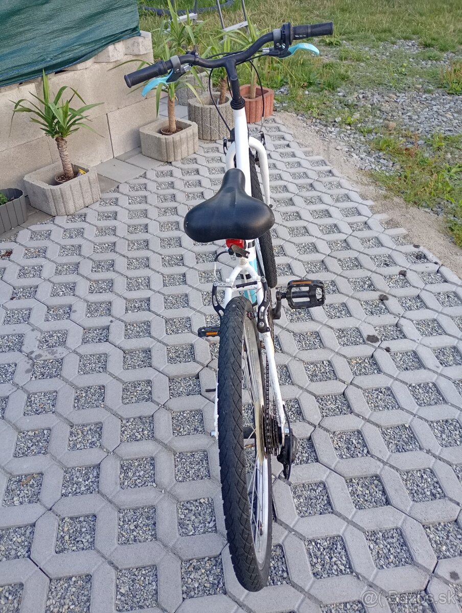 B Twin 24" - 4