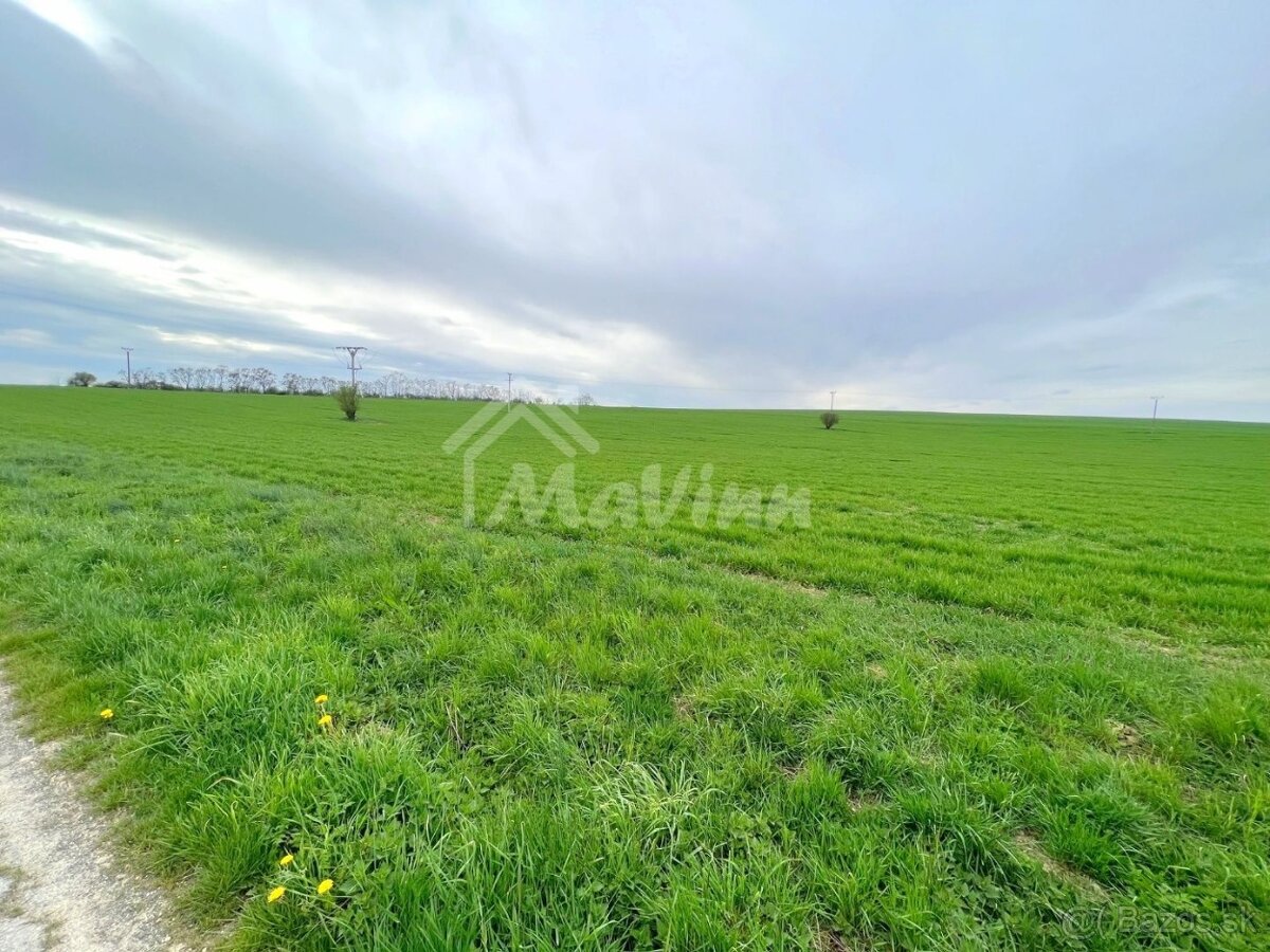 PREDAJ Pozemky 2000 m² Pravotice - 4