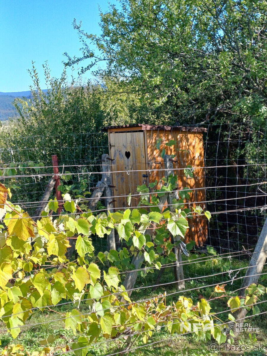 Biovinica s krásnym výhľadom v Pukanci - 4