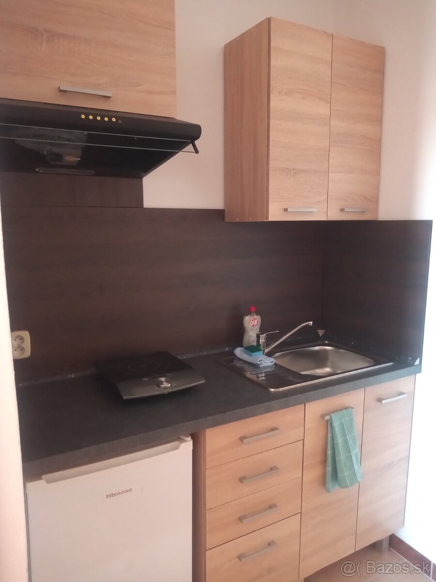 1-izbové ubytovanie Nováky vlastné sociálne zázemie - 4