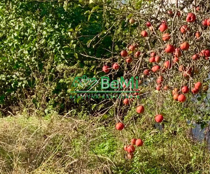 Výhodná ponuka, záhrada 320 m2, Riečka, Banská Bystrica - 4