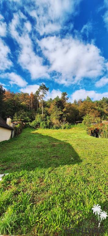 PREDAJ: Romantický stavebný pozemok pri lese - 4