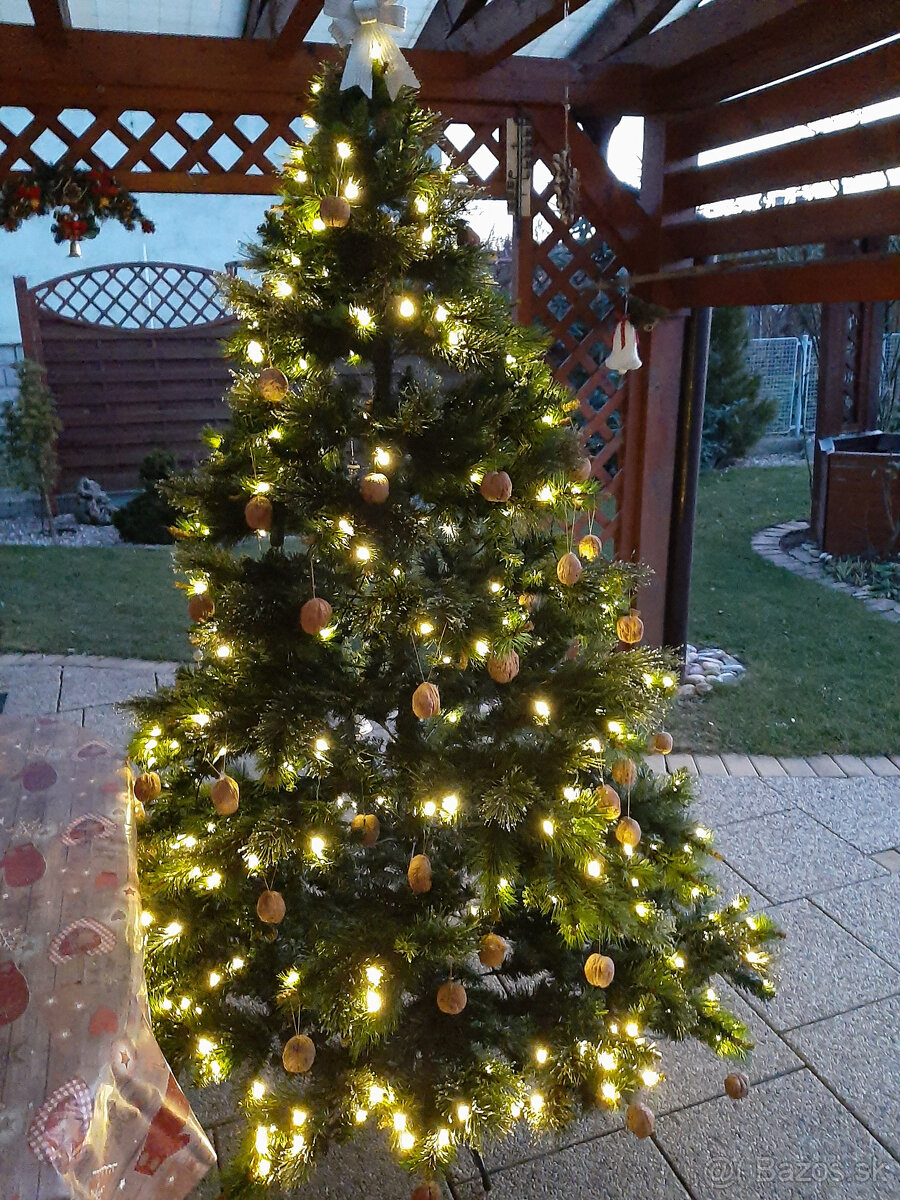 Predám vianočný stromček. - 4