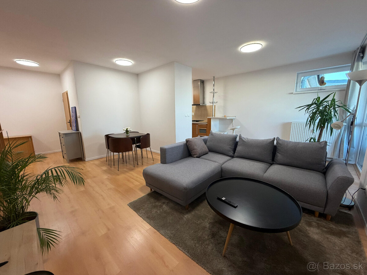 Prenajom 2 izbovy byt - 4