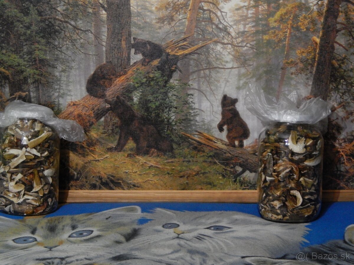 Predám sušené dubáky. - 4