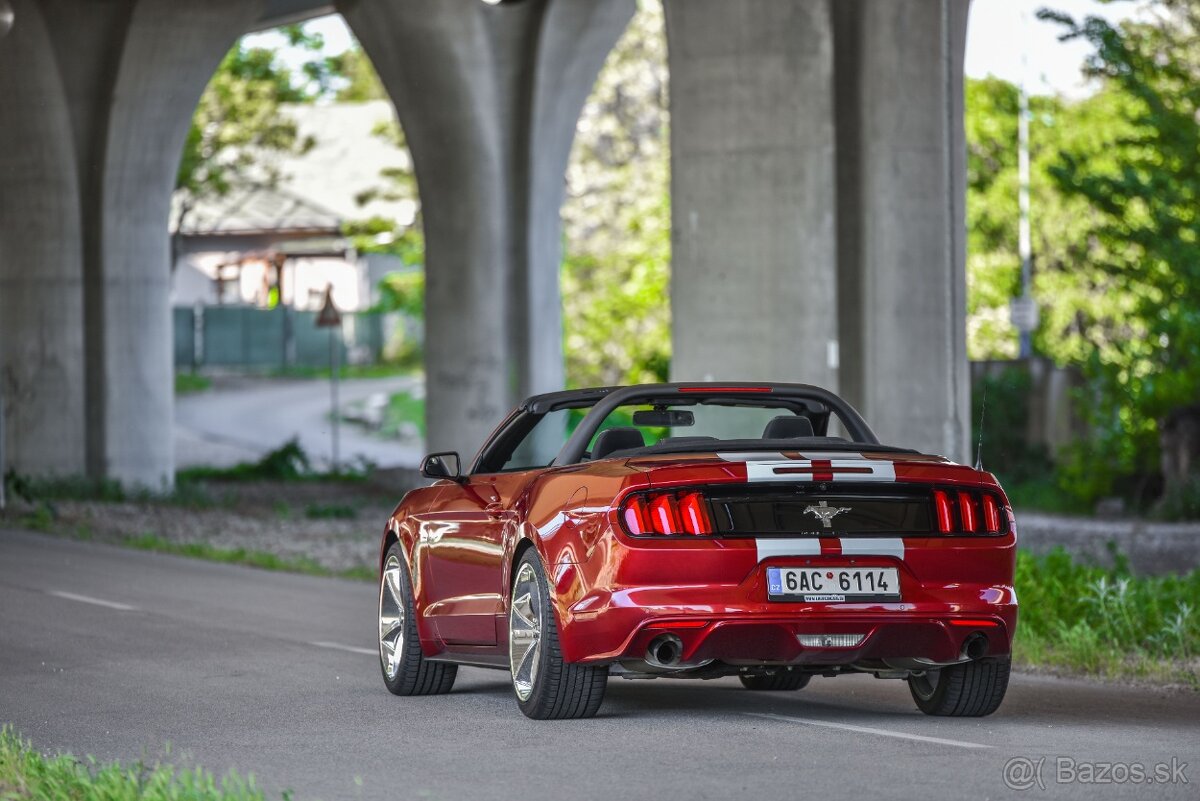 Mustang Cabrio 3.7 Shelby -Top Stav - 4