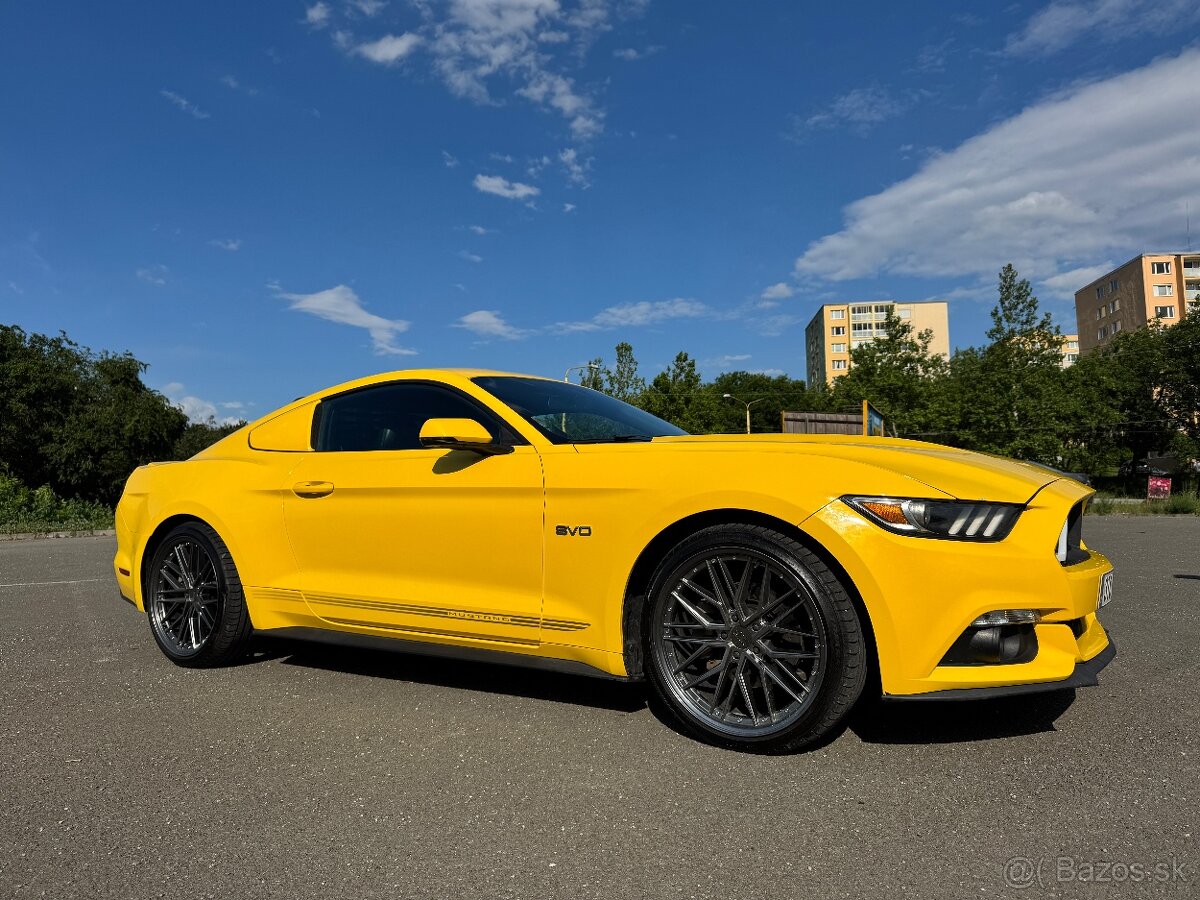 Mustang - 4