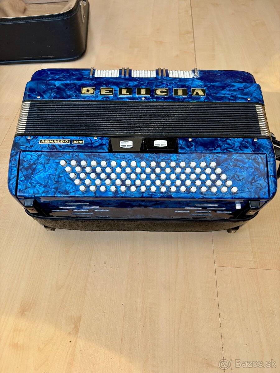 Delicia Arnaldo XIV 80 bas - 4