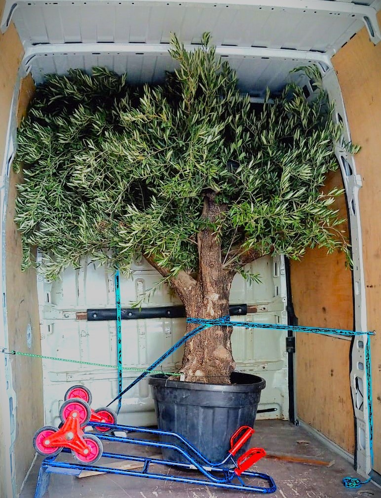 ✔️SŤAHOVANIE, VYPRATÁVANIE A PREPRAVA✔️ ŠAĽA A OKOLIE - 4