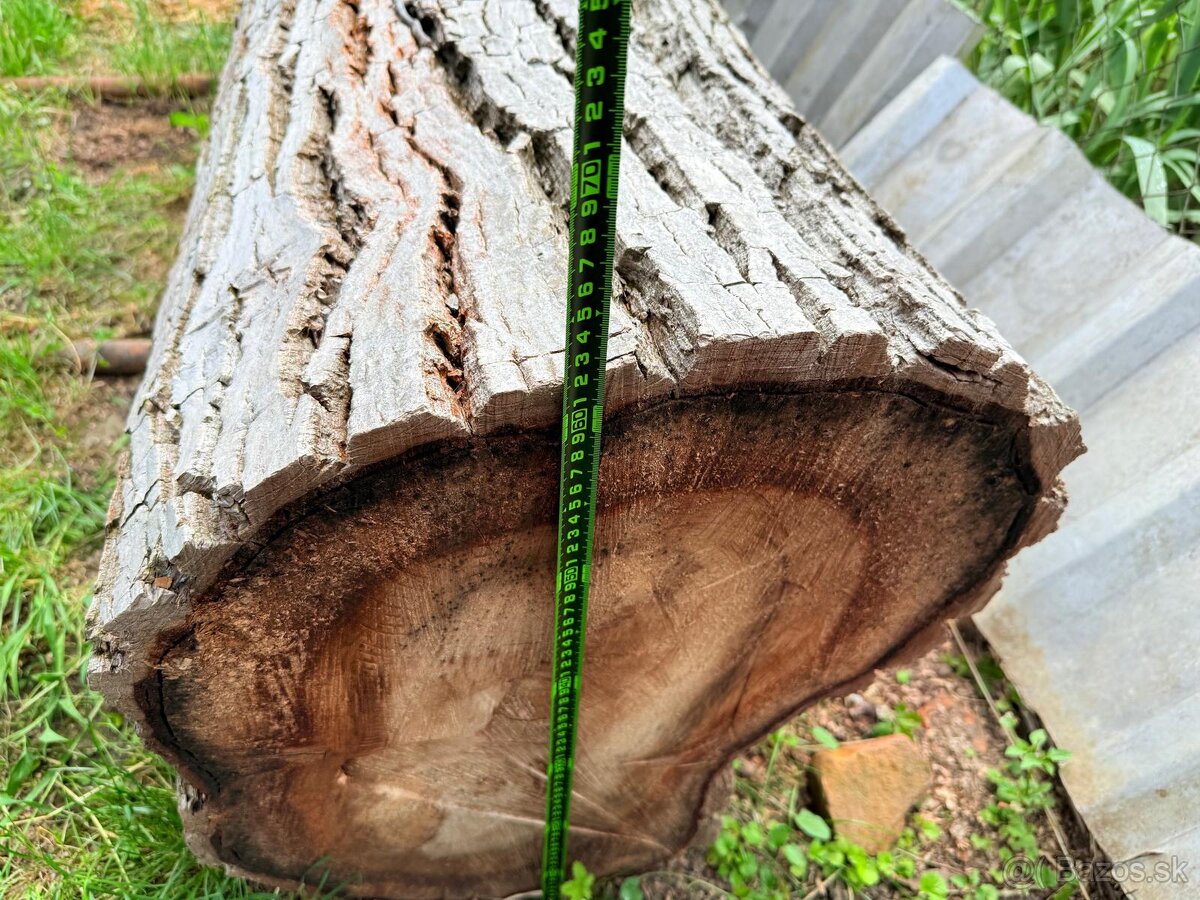 Orechové Drevo - 4