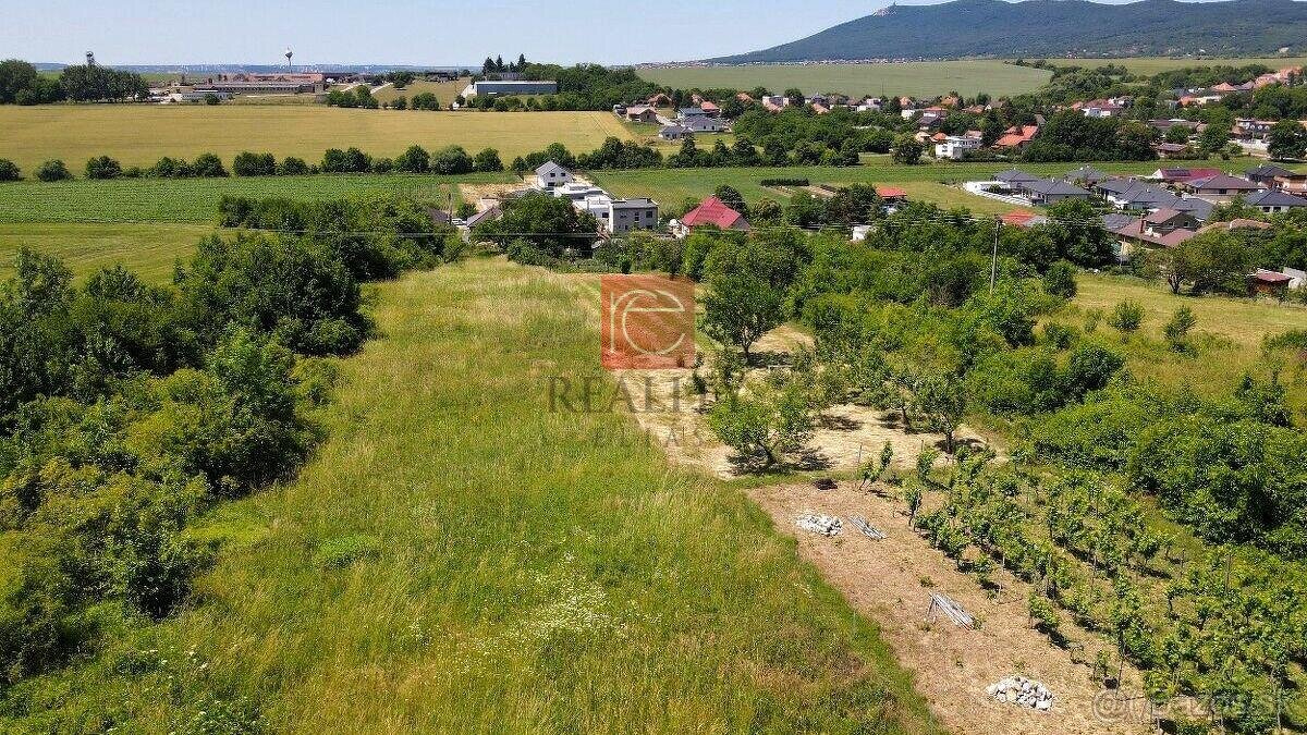 NA PREDAJ veľký stavebný pozemok, Pohranice - 4