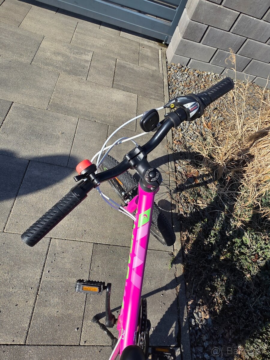 Bicykel Head 20" - 4