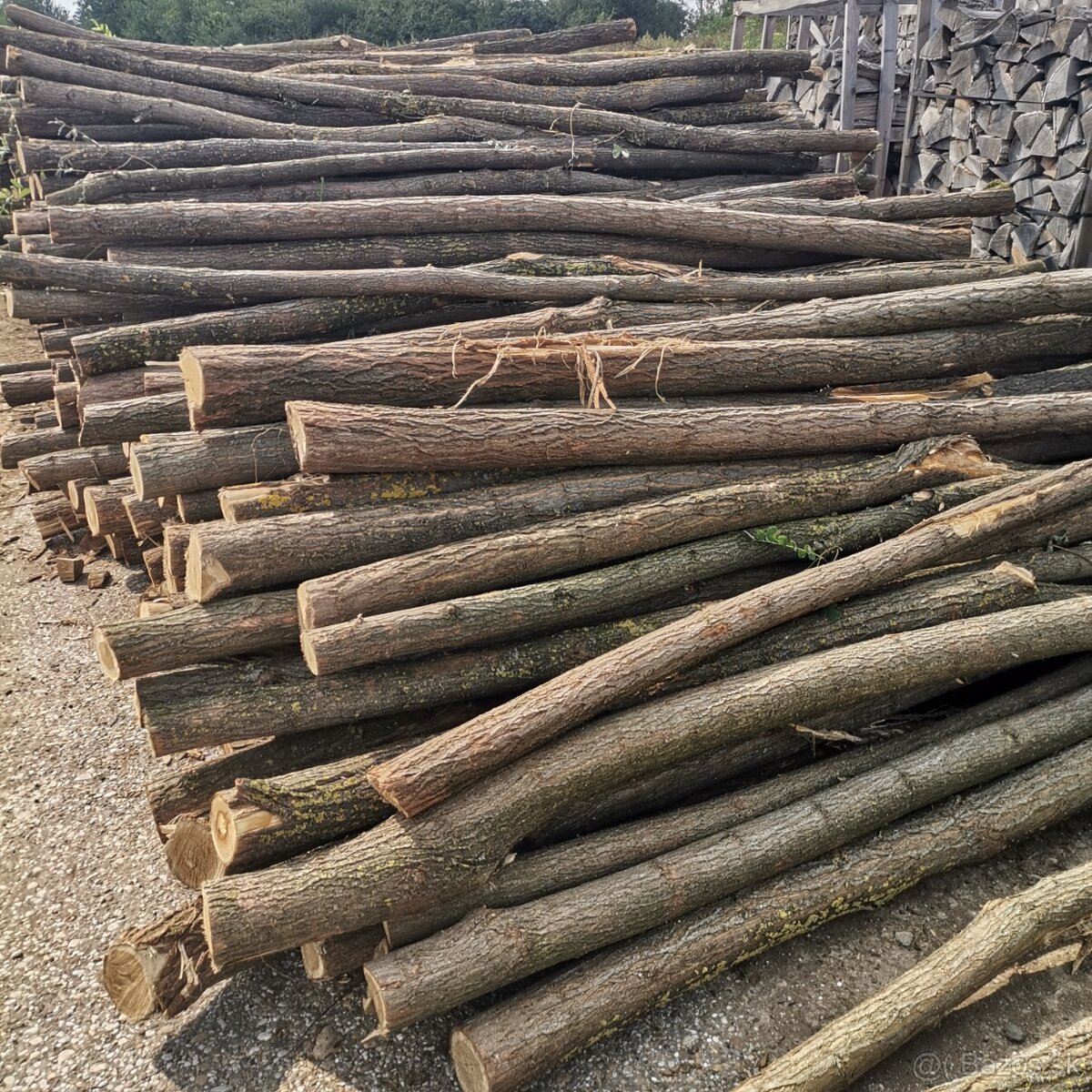 Agátové koly, stĺpy. - 4