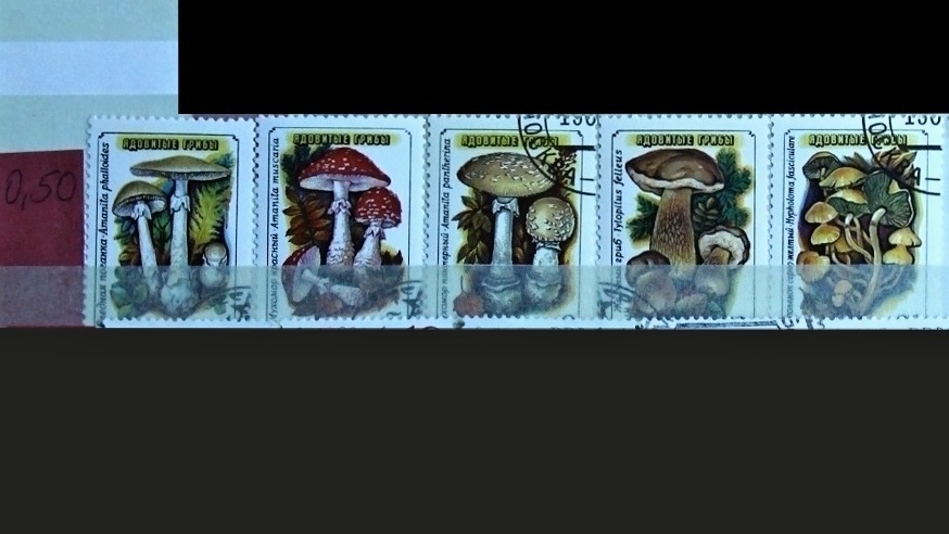 Známky - huby a kaktusy - 4