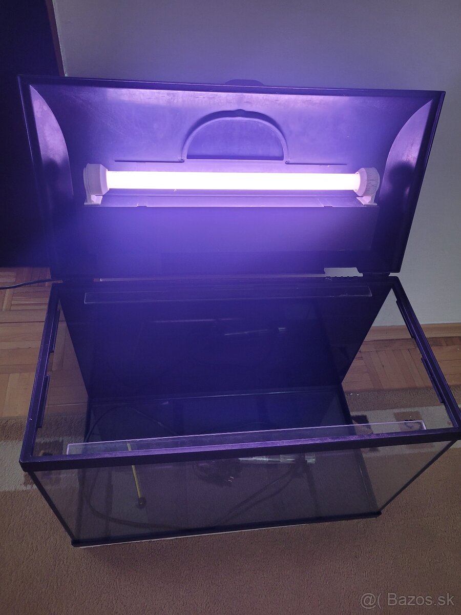 Skaláre a akvárium - 4