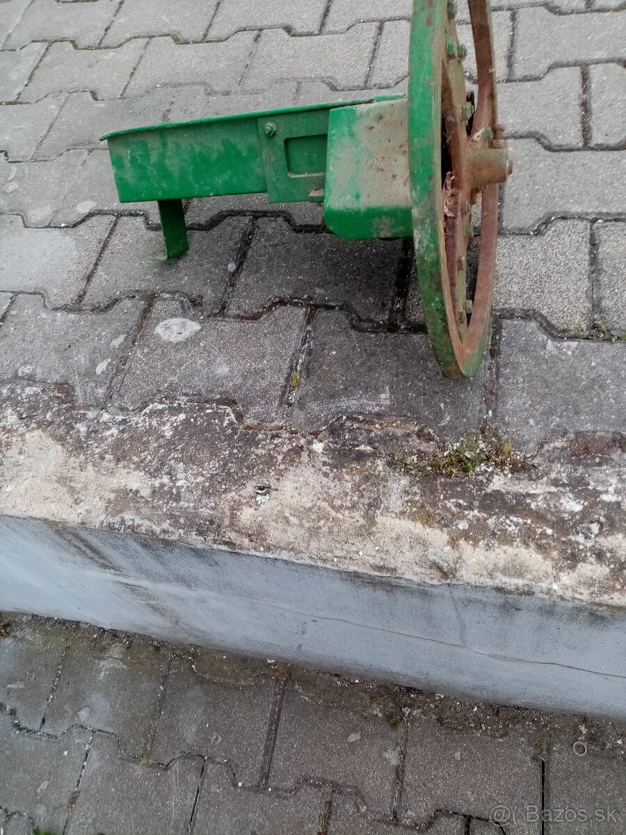 Sečkovica zachovalá - 4