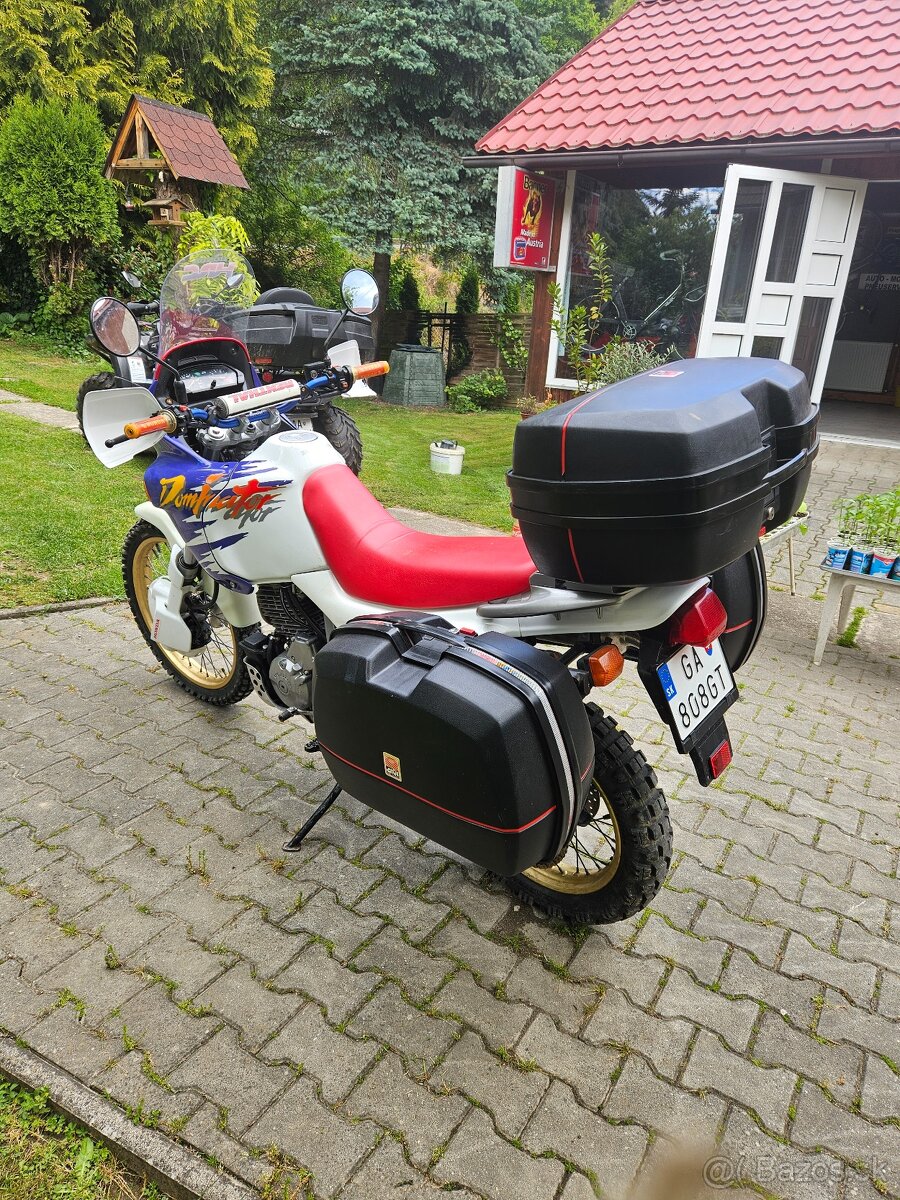 Honda dominator