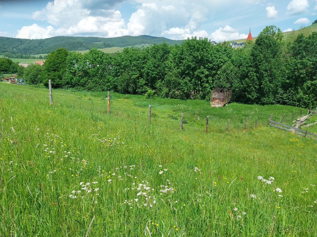 Predám pozemky v katastri Vojňany - 4