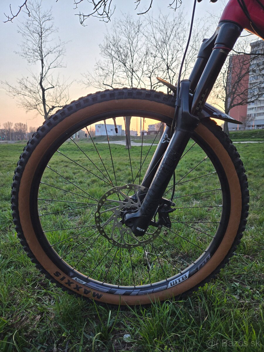 CTM Scroll Expert 2019 - 4