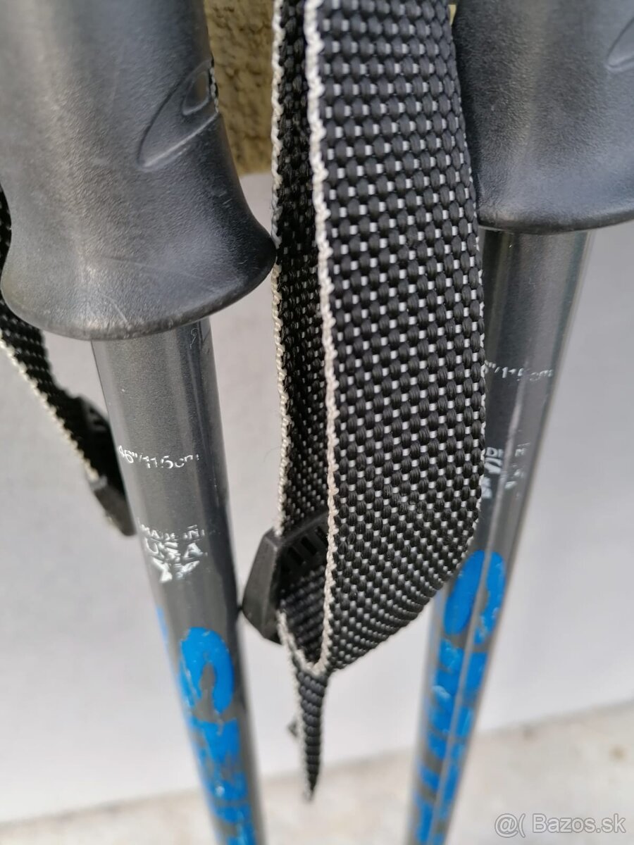 Predám lyže Rossignol - 4