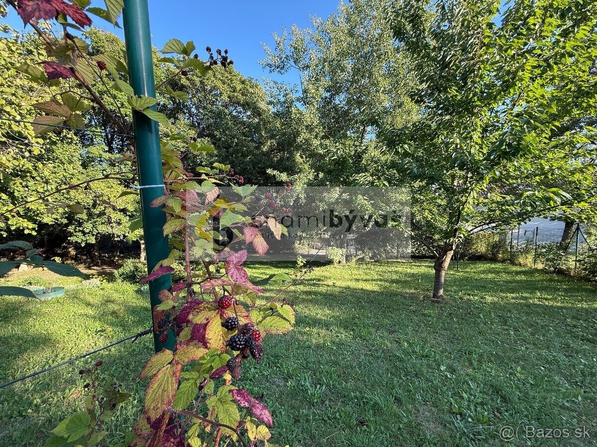 Pozemok Kavečany 475 m2 + 500 m2 v užívaní, Vitalina - 4