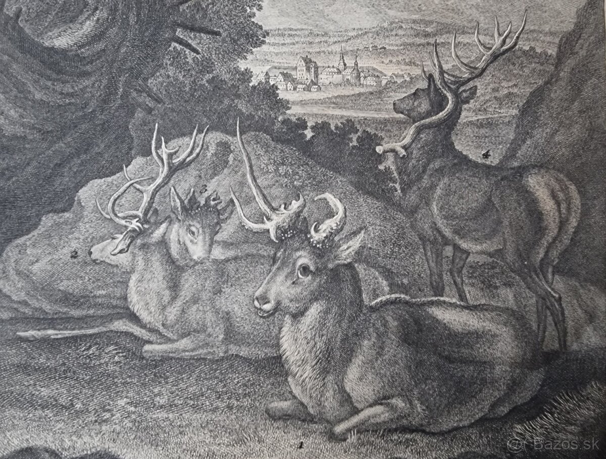 Ridinger -medirytina /vyše 270.ročná/ - 4