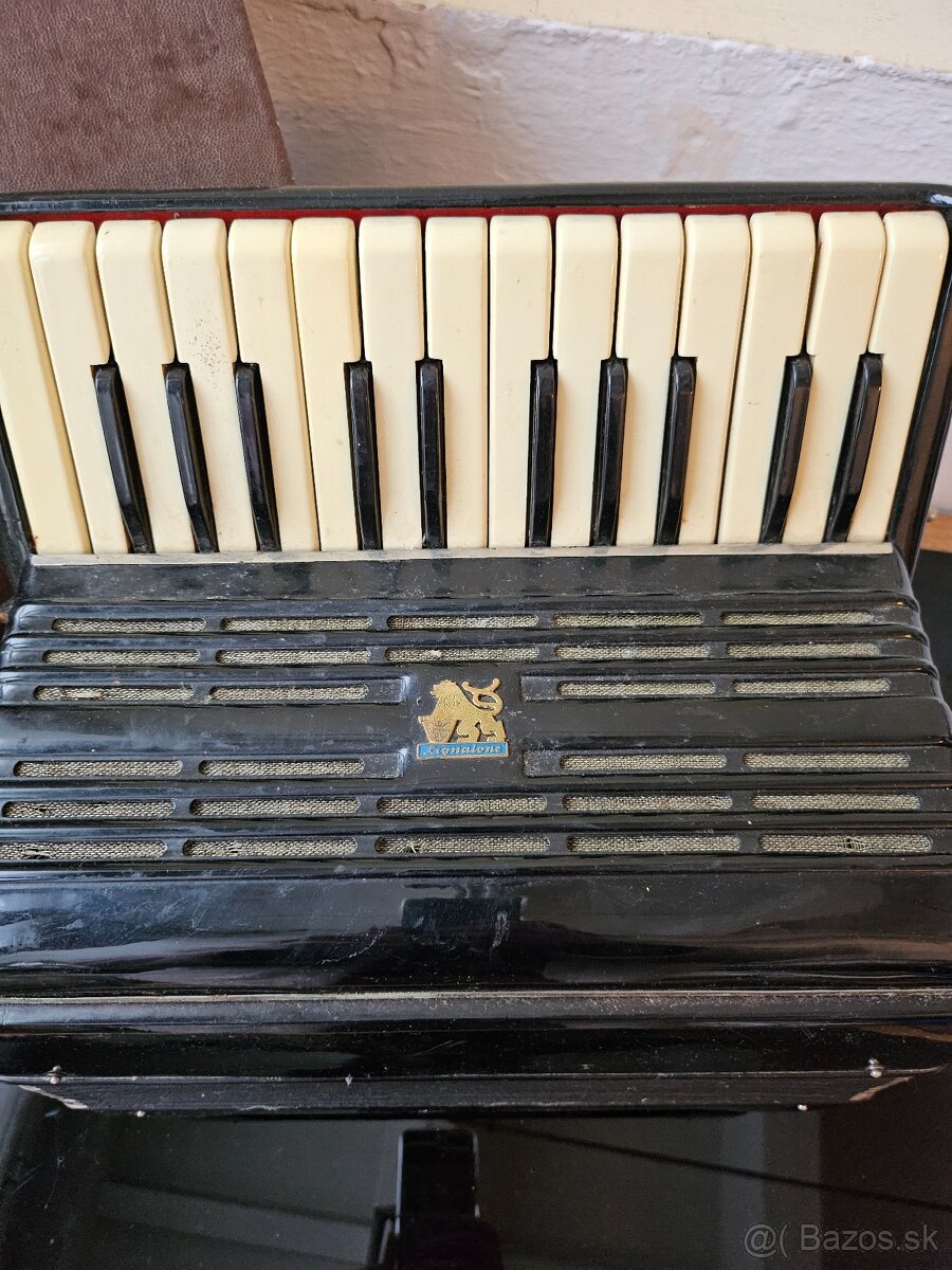 Heligonka / harmonika - 4