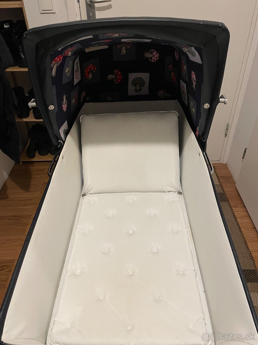 Taliansky kociarik Peggy - 4