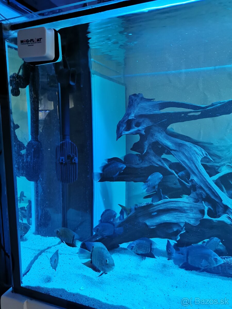 Akvarium 1100 Lit. - 4