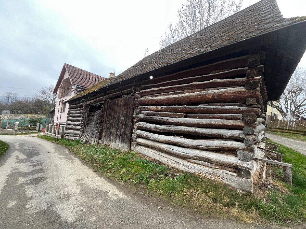 Stare drevo na predaj - 4