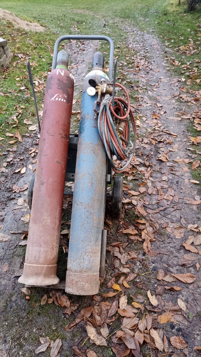 Autogenova suprava - 4