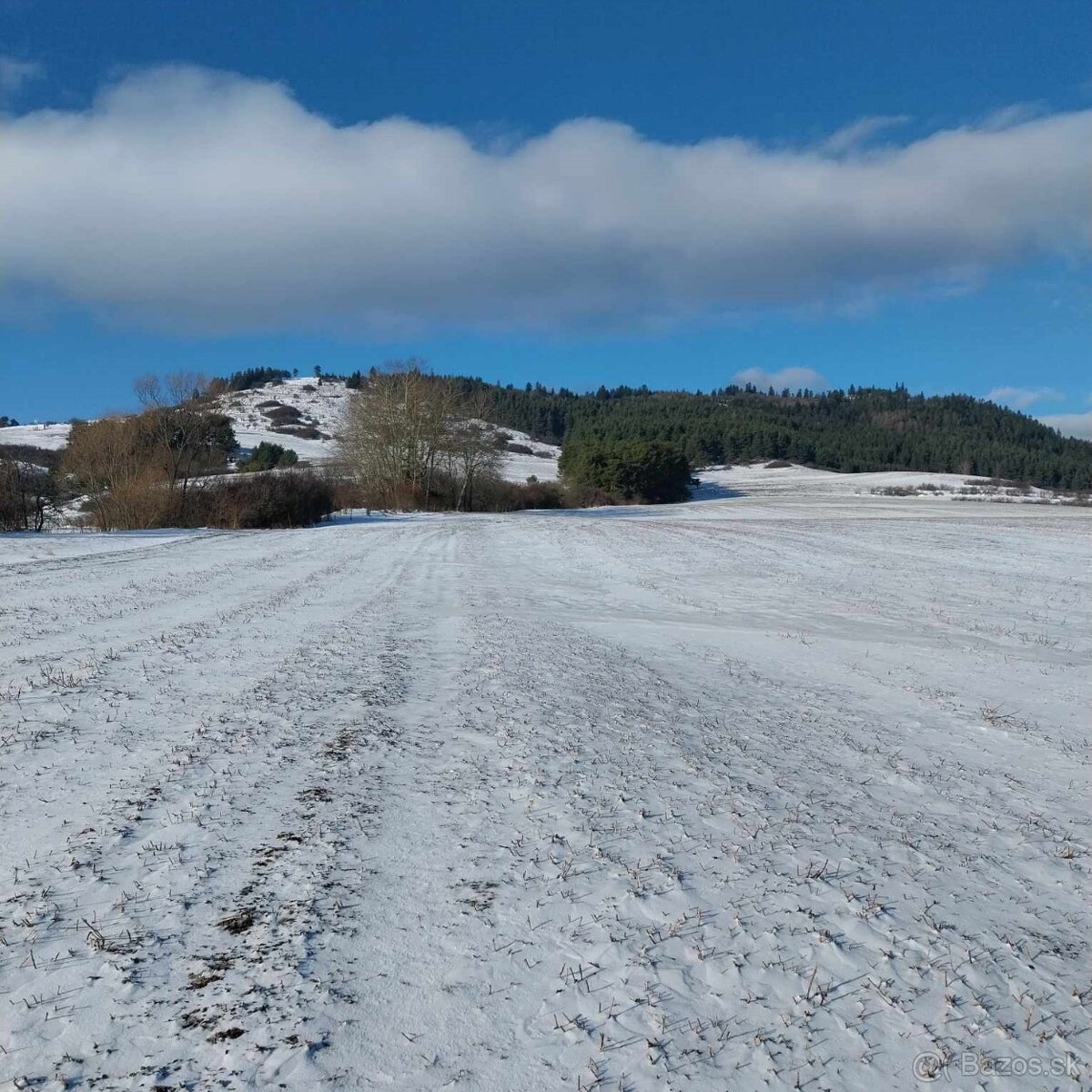 Predaj ornej pôdy - 4